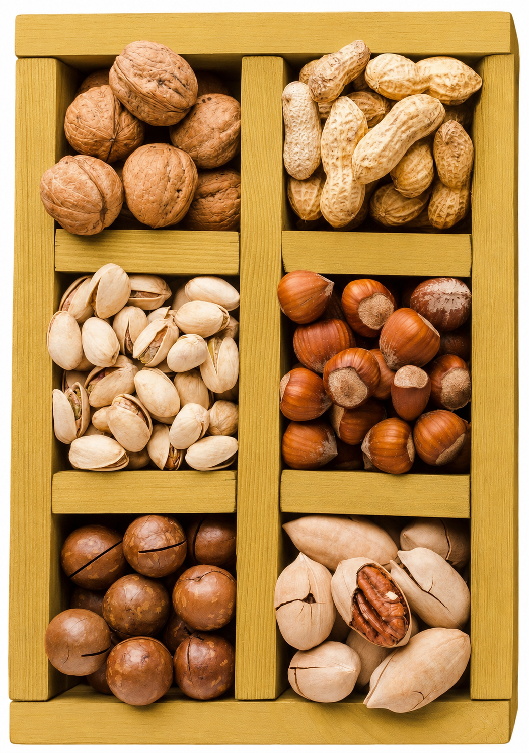Golden Hills Food team and operations in Dubai, UAE