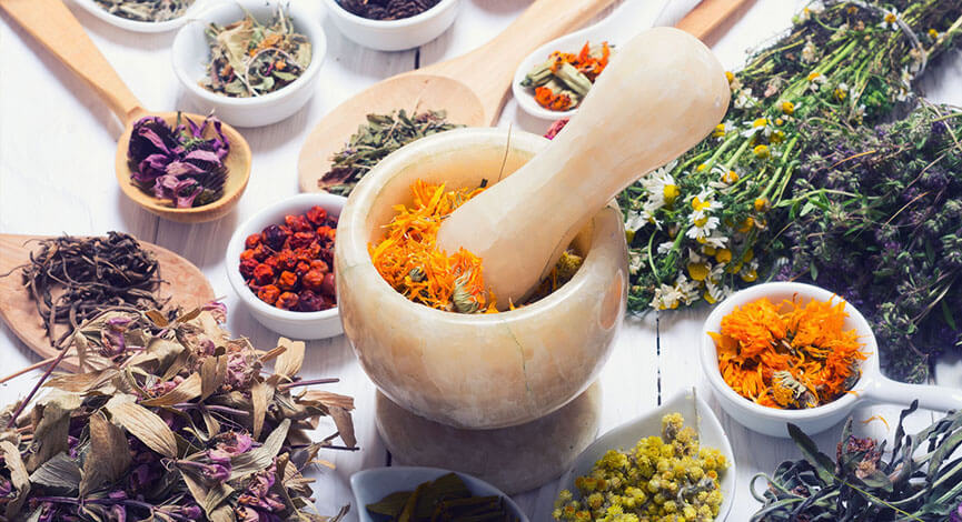 Fresh and dried culinary herbs including thyme, oregano and mint